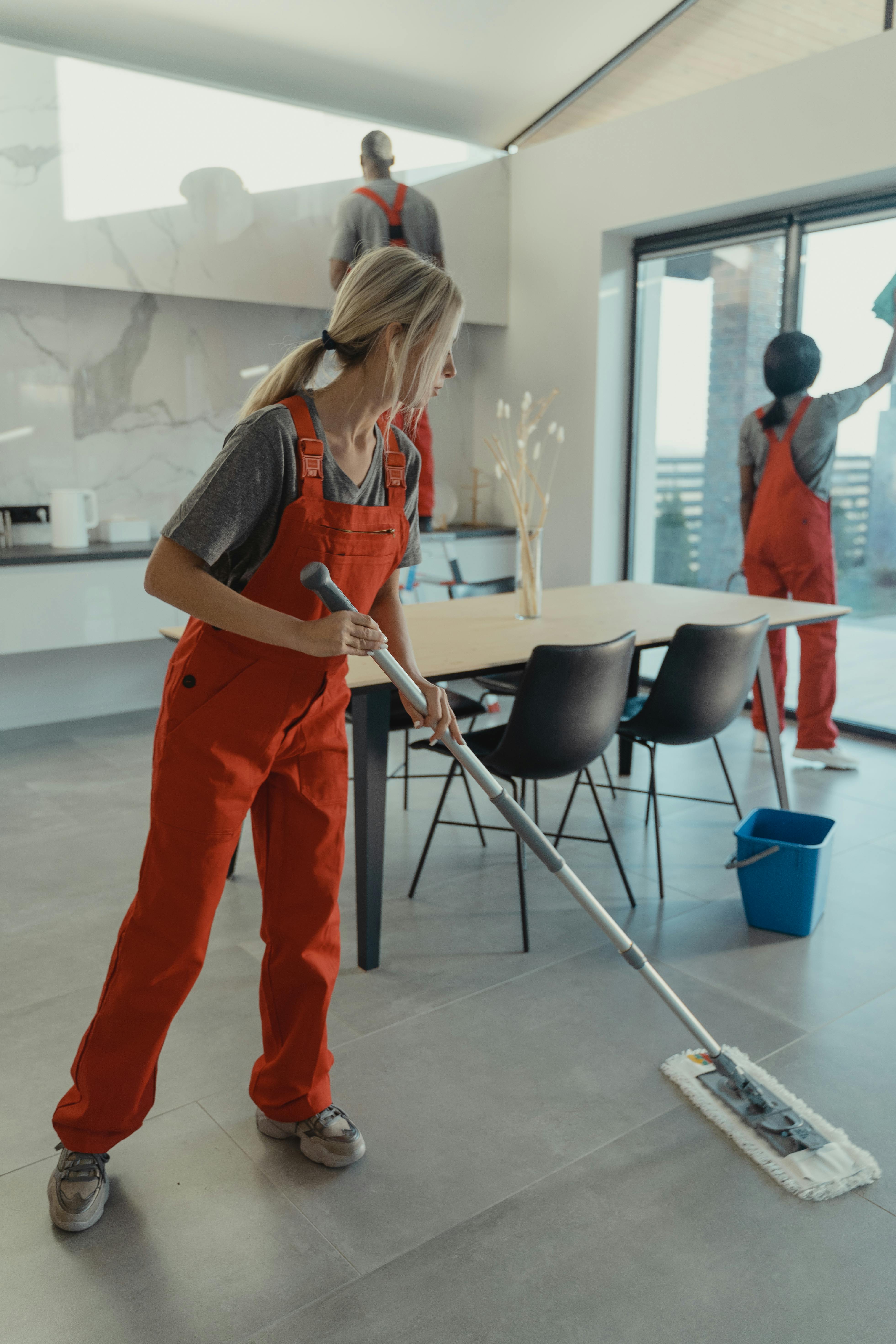 The Cleaners cleaning a home